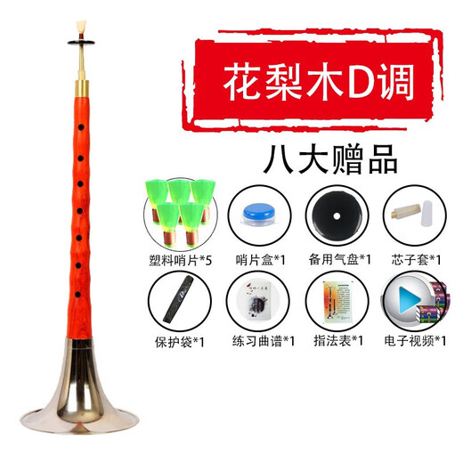 晗畅管艺 唢呐乐器全套演奏红木乌木杆初学者成人民间唢呐锁 D调 红木黄碗[八种配件]