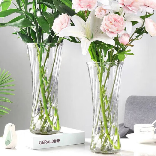 Extreme space vase glass rich bamboo large vase living room vase hydroponic container Nordic style decorative ornaments 29cm