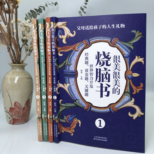 [Kyokura Sufa совершенно новое подлинное издание] 4 красивых и красивых книг, сжигающих мозг. Классические вопросы для мирового интеллектуального развития 7-12-Tianjin Science and Technology Press