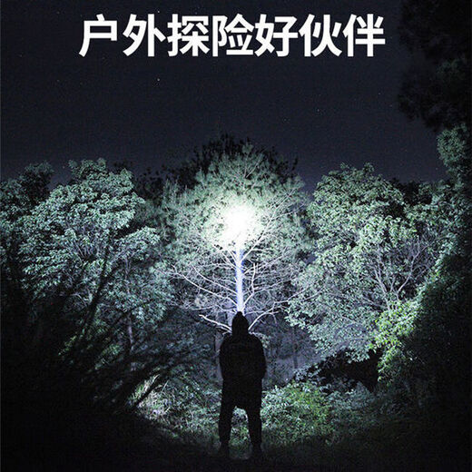 珍净缘 头灯led强光远射可充电锂电池户外夜骑钓鱼头戴式矿灯高亮头灯 白光锂电池+两档调光充电2000k