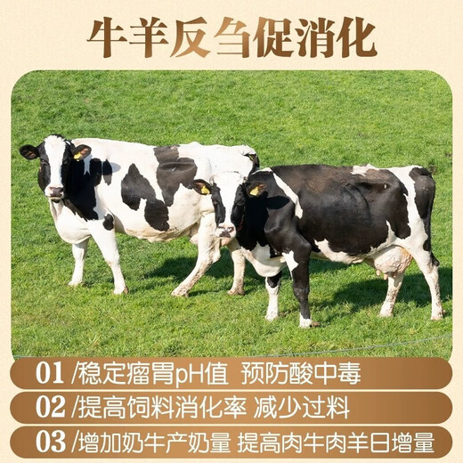 Fubang Angel Ruminant Saccharomyces cerevisiae feed additive, special yeast rumen treasure for cattle and sheep, Newegat F5 20 packs/full box/F5 new packaging