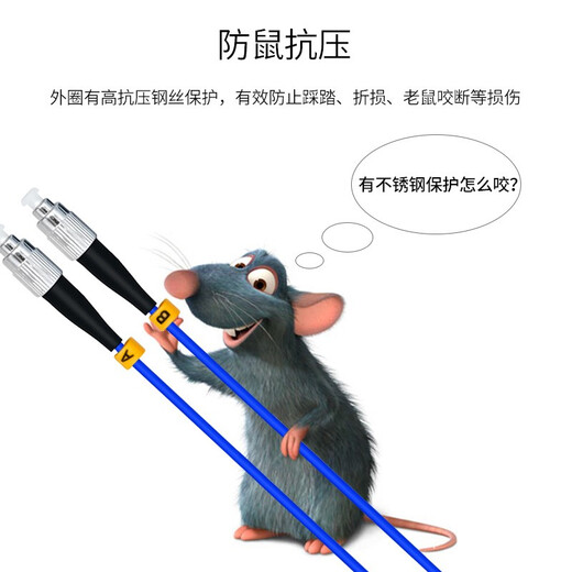 EB-LINK 工程电信级铠装光纤跳线单模双芯铠甲尾纤室内防鼠咬抗拉金属钢丝保护（IDC中心机房存储 LC-LC单模双芯 10米