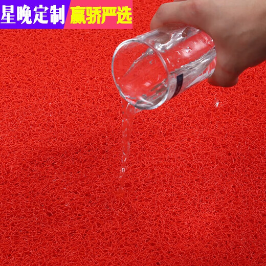Star Night Thickened Silk Ring Floor Mat Anti-slip Silk Entry Door Mat Plastic Red Floor Mat Dust-proof Door Elevator Hotel Welcome Red 80*120cm (Thickened 15mm)