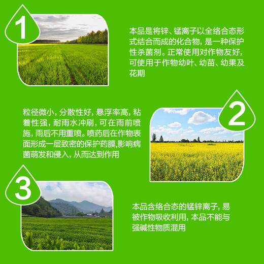 Syngenta Dasheng m45 Jin Dasheng Mancozeb citrus apple tree anthracnose leaf spot blight downy mildew fungicide 1000g