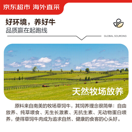 Jingdong Supermarket directly imported raw cut beef filling from overseas, net weight 3Jin Jin is equal to 0.5kg (1Jin Jin is equal to 0.5kg *3) Dumplings, wontons and buns stuffed hamburger meat