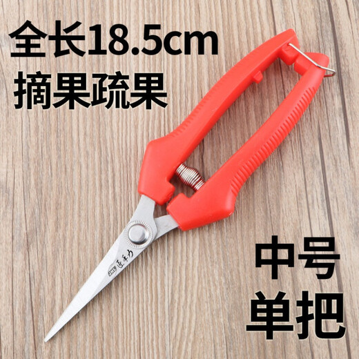 修枝剪子葡萄摘果剪 园林果树剪刀粗枝花剪 省力树枝修剪花的剪刀 高端H14116直款与灵巧剪搭配