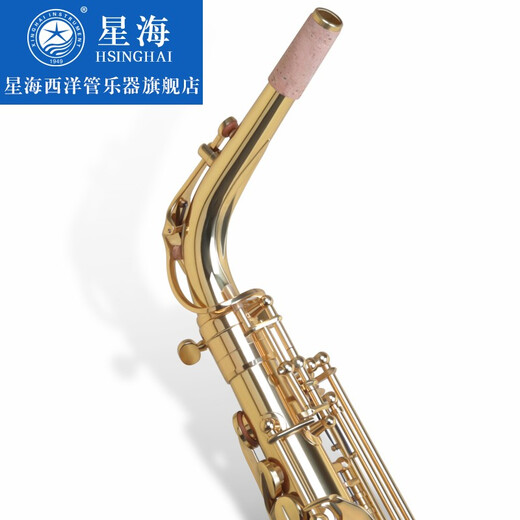 星海（XINGHAI INSTRUMENT）【大咖推荐】专业演奏中音萨克斯 降e调XAS-180 成人儿童初学考级 XAS-180【配件齐全】收到即用