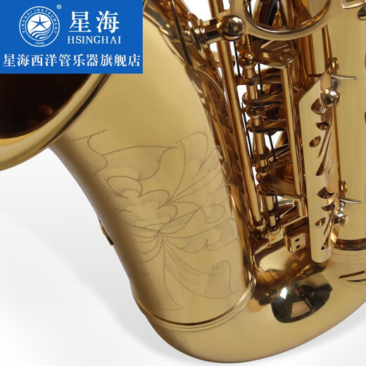 星海（XINGHAI INSTRUMENT）【大咖推荐】专业演奏中音萨克斯 降e调XAS-180 成人儿童初学考级 XAS-180【配件齐全】收到即用