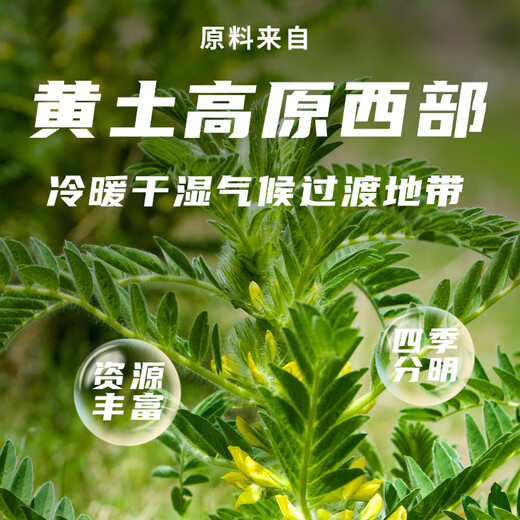 Life Life Life Organic Astragalus 110g tranches racinaires principales, Wolfberry, Soup à thé Angelica, trempée dans l'eau. La variété est l'astragalue mongol