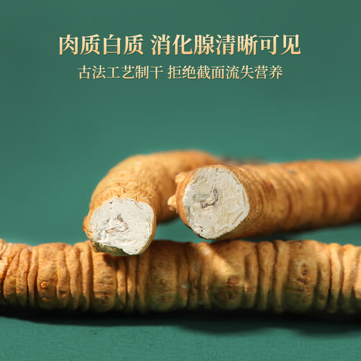 紫蓝花海冬虫夏草50g大号断草 新干虫草滋补品断虫草自食【健康礼盒】