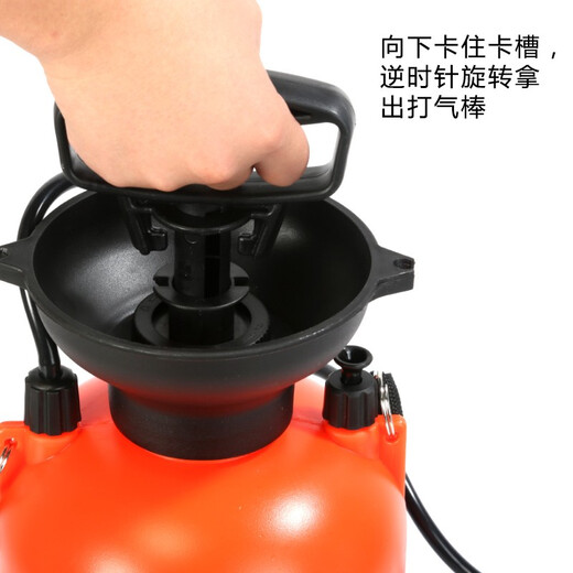 Shixia (seesa) Shixia brand watering kettle gardening watering kettle for watering flowers and spraying water pesticide sprayer agricultural manual air pressure sprayer 5L can spray 6 meters high