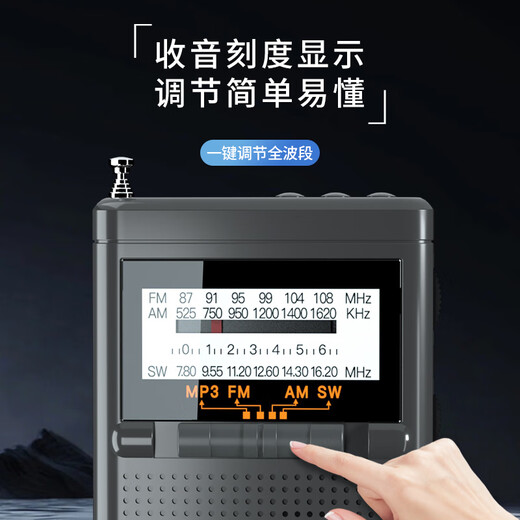 Newman BT80-Radio für ältere Menschen zum Hören von Musik mit Vollband-Englisch-Stufen 4 und 6, Plug-in-Kartenspieler, wiederaufladbarer FM-Walkman-Minilautsprecher