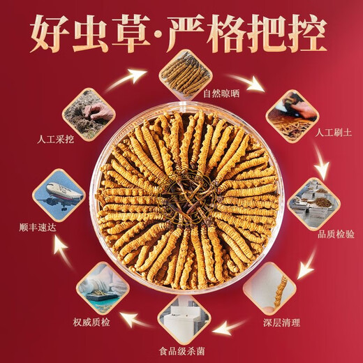 
[Tibet Straight Hair] Nagqu First Stubble Cordyceps Authentic High-altitude Dried Cordyceps Gift Boxes First Choice Special Cordyceps King 2 Roots/G 100 Roots