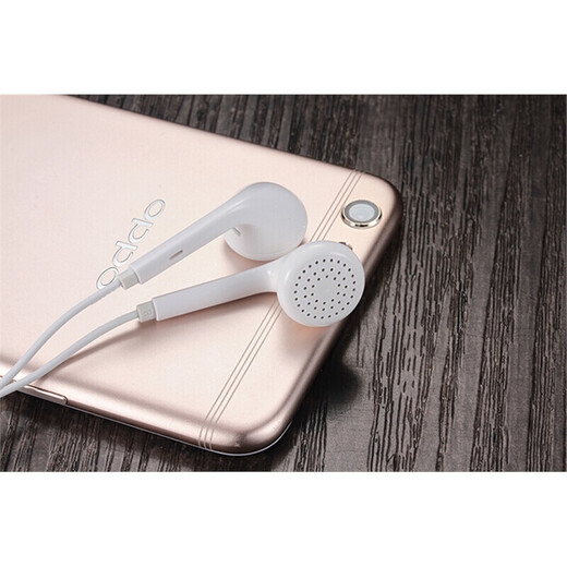 声瑟 耳机有线Type-C控带麦适用于OPPO手机R9 R11 R15 A5 A3 A7小米vivo华为安卓苹果通用入耳式耳塞 3.5圆孔白色标配版
