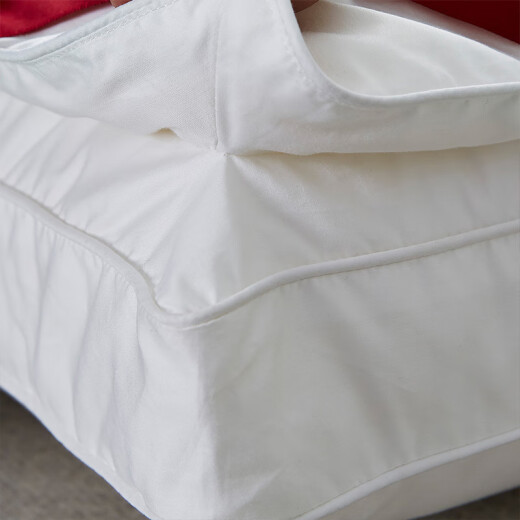 Mengjie MAISON silk pillow pillow core adult high-end pillow single pack 43*68cm
