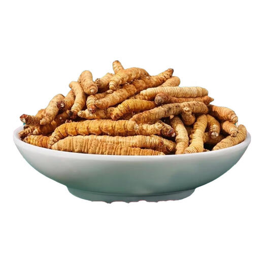 Cordyceps sinensis (unterstützt Qualitätsinspektion) schneebedeckte Cordyceps sinensis gebrochenes Gras Vollfleisch reines Fleisch Festival Cordycep