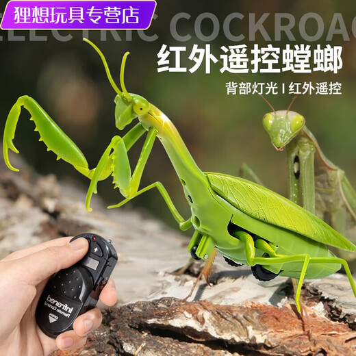 Shantoulin Village Пульт дистанционного управления Mantis Electric Toy Scrank Artifact Tockroach Boy движется к паукам
