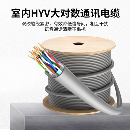 辉宏时代大对数电缆电话线纯铜室内HYV/室外HYA/铠装HYA5310对20对25对30对50对100对大对数语音通信线缆 【室内100对】HYV100*2*0.46 1000米