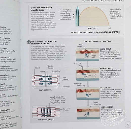 DK Science of Strength Training 英文原版Austin Current