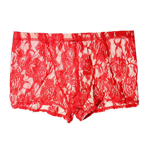 Men's Sexy Underwear Thin Transparent Lace Sexy Underwear See-through Boxer Briefs Men's Shorts One Size Red