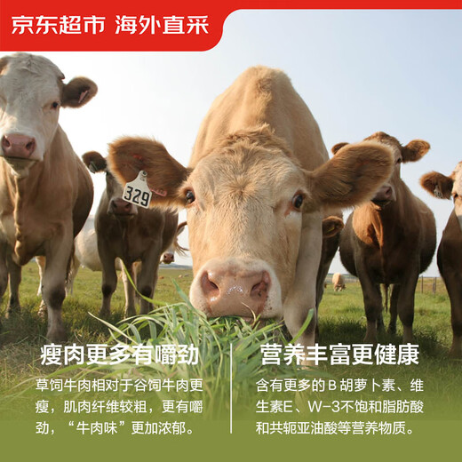 Jingdong supermarket directly imported raw cut beef tendon from overseas, net weight 2Jin Jin is equal to 0.5kg, refined and oil-free stewed stewed meat