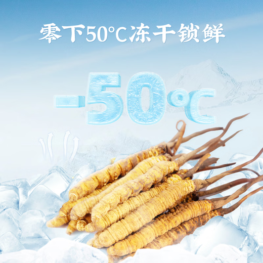 Lei yun shang cordyceps sinensis liofilizado Cordyceps sinensis Cordyceps sinensis Seleccionado Cordyceps de alta calidad sinensis Cordyceps sinensis Enviar a los padres a familiares y amigos A32-1G Broken Grass