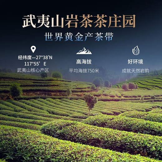 Boîte cadeau de thé HuaxianGyuan Ta de qualité spéciale Dahongpao Wuyi Rock Tea Oolong Tea country Color Tea 5 Cans 41,5g Cadeaux