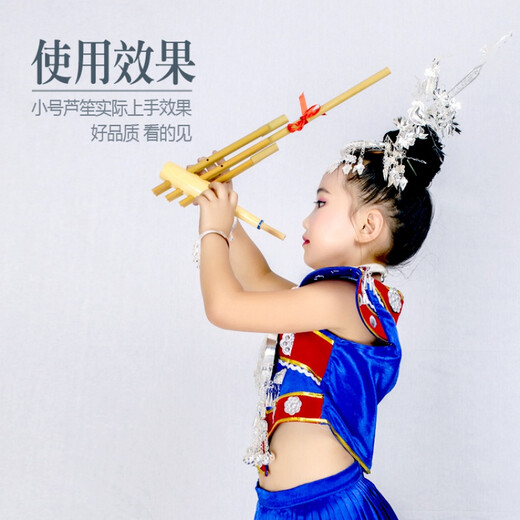 芦笙民族乐器贵州云南竹制6管6音C调舞台道具装饰纯手工水竹 小号吹响6个音 可吹曲 C调送 花