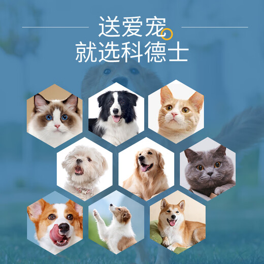 Codos Pet Shaver Dog Hair Clipper Electric Clipper Cat Hair Clipper Large and Small Dog Supplies 9200 Package 2 Standard + 1 Blade