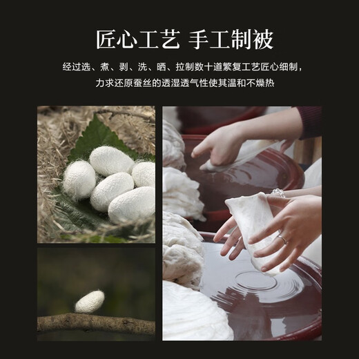 寐（MINE）舒享丝棉提花100%桑蚕丝被子加厚保暖被芯蚕丝冬被至爱 248*248cm (填充1350g)