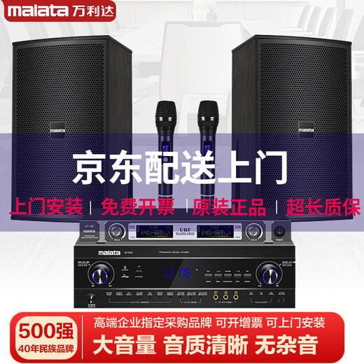 Malata audio set home KTV audio shop stage training room dance studio Bluetooth amplifier microphone speaker 12-inch five-unit audio pair + amplifier + microphone
