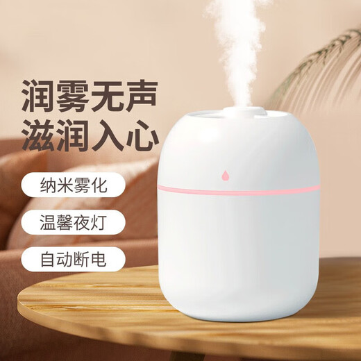 Behe Mini Humidifier Bedroom Home Office Desktop Car Low Noise Water Adding Small USB Air Humidifier Water Drop White Plug-in Model