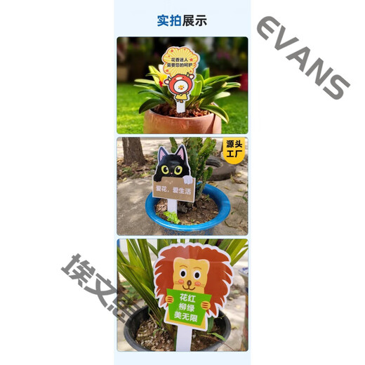 Xushansi Kindergarten Simulation Pot Brand Gardening Simulation Flower Pot Simulation Label Signage Succulent Conservation Brand DIY Handmade YHCD-28 10x16cm