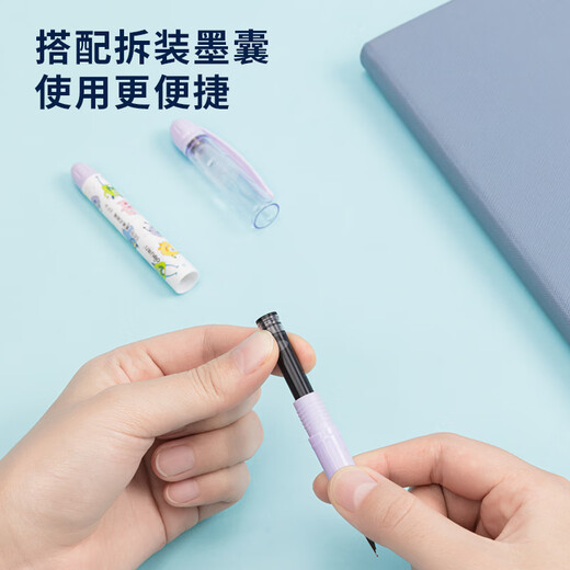 得力（deli）学生钢笔EF尖可换墨囊 正姿练字钢笔办公签字笔 1明尖+1暗尖+4墨囊黑色 S691 EF尖(约0.38mm)