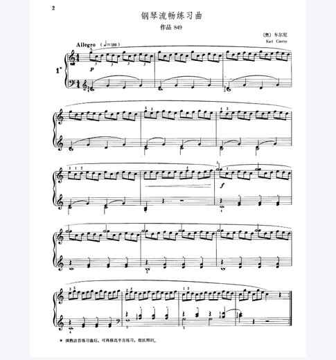Cheerny Piano Etude 299/599/740/849/821/748/139/636 Version complète HD Version électronique PDF 299