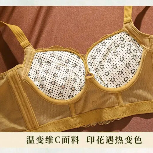 AXRG中脉JM小胸显大调整型内衣贵妇精油刺绣收副乳聚拢防下垂文胸罩 香槟色9215# 90A 40/B通杯