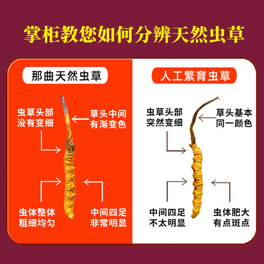 东仔【西藏那曲】野生冬虫夏草高海拔野生虫草断草滋补品礼盒送长辈 【西藏那曲野生】大号断草-全家滋补 5克（礼盒装）