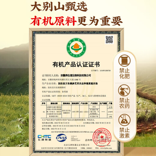 同仁堂破壁灵芝孢子粉有机孢子油软胶囊礼盒增强免疫力中老年营养保健品 【送礼首选】灵芝孢子粉6盒组合装 赠礼袋