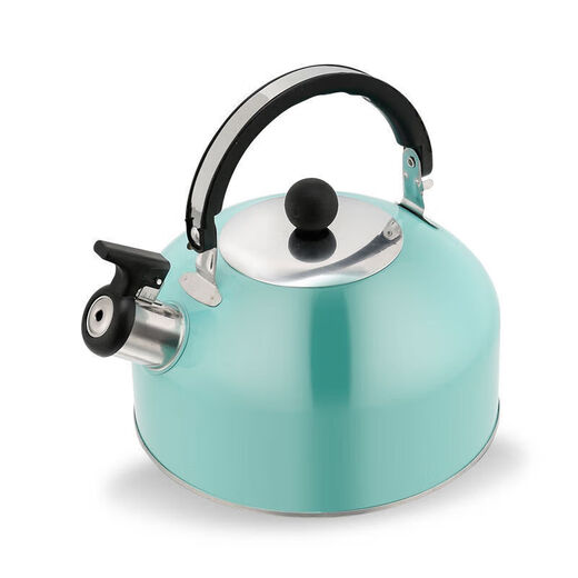 Manyuangong household induction cooker kettle stainless steel whistle kettle large capacity kettle high appearance kettle 3L Nordic blue