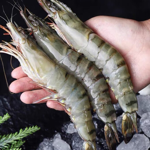 [Spot] Seafood Song seafood gift box set New Year's goods gift gift seafood gift pack abalone seafood gift box 698