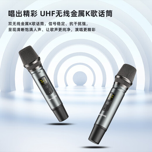 Weirjing K21SE singing karaoke speaker professional equipment outdoor karaoke special musical instrument performance live broadcast internal recording 120W high-power pull rod large field large volume Bluetooth speaker Xingyuehong