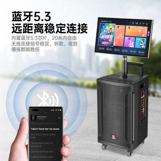 Manlong square dance audio high-power wireless microphone Bluetooth musical instrument Internet celebrity live broadcast mobile outdoor high-end karaoke machine singing trolley speaker W-12S audio dual microphone + gift package
