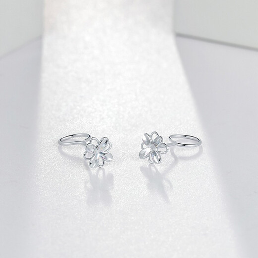 Saturday Fortune (ZLF) PT950 platinum earrings for women, platinum colorful forest ear hook style earrings 1.06g