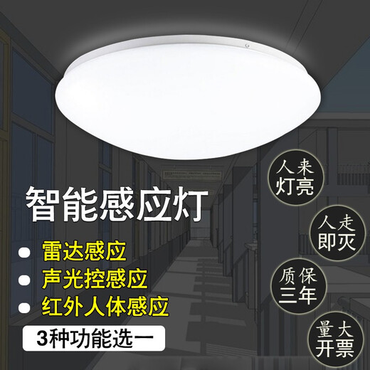雷雷智光 声控灯LED雷达人体感应灯声光控吸顶灯楼道楼梯走廊工程车库灯 21CM LED6W声光控