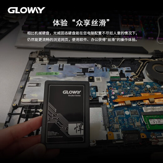 光威（Gloway）512GB SSD固态硬盘 SATA3.0 500MB/s  笔记本/台式机通用 悍将系列