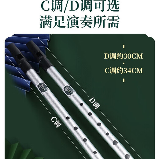 Miaos Irlanda Metal Wilute Flauta Registro para principiantes C-ajuste de C-ajustado Juega profesionalmente Treble Flauta recta Alemana Six Hole C-Tuning Black
