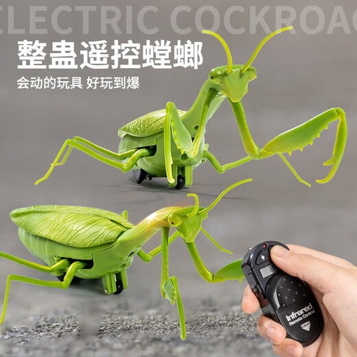 Fernbedienung Mantis Elektrische Simulation Kinderspielzeug Streich kreativer Kakerlake 3 Jungen können kriechende kleine Tiere Fernbedienung Ladybug rot 9922+ Schrauben Standard Match