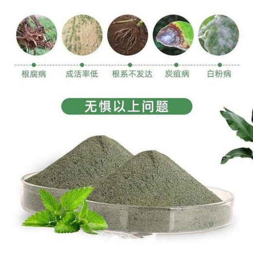 2 billion Trichoderma harzianum microbial fertilizer for ginseng to prevent root rot, gray mold, powdery mildew, dead seedlings and rotten roots 5 billion content 50Jin Jin equals 0.5kg barreled