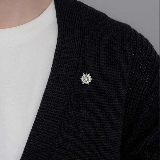 This gentleman's snowflake brooch men's suit lapel collar high-end corsage suit fashion jewelry badge pin men's accessories snowflake brooch
