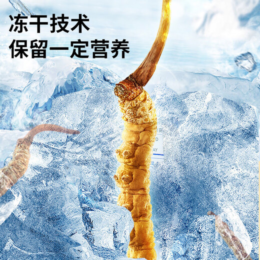 Lei Yun Shang Cordyceps Sinensis 3.2 Roots/G 30G Около 96 корней подарочную коробку на День отца, чтобы отправить подарки родителям и старейшин